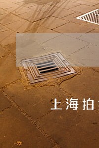 上海拍拍贷11笔逾期40天