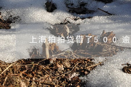 上海拍拍贷借了500逾期三年 上海拍拍贷借了500逾期三年