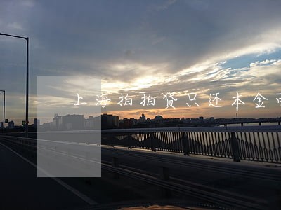 上海拍拍贷只还本金可以吗 上海拍拍贷只还本金可以吗