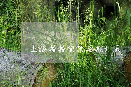 上海拍拍贷款逾期3天 上海拍拍贷款逾期3天