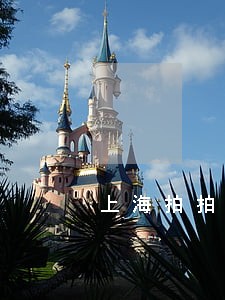 上海拍拍贷网逾期不还 上海拍拍贷网逾期不还