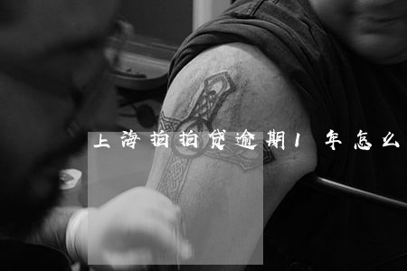 上海拍拍贷逾期1年怎么还款 上海拍拍贷逾期1年怎么还款