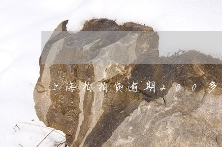 上海拍拍贷逾期200多 上海拍拍贷逾期200多