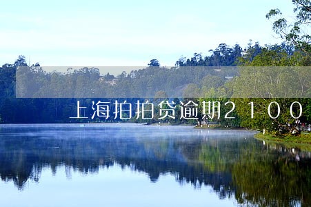 上海拍拍贷逾期2100 上海拍拍贷逾期2100