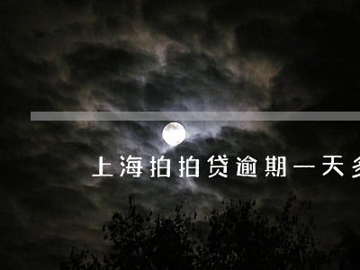 上海拍拍贷逾期一天多还30 上海拍拍贷逾期一天多还30