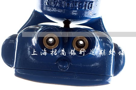 上海招商银行逾期处理 上海招商银行逾期处理