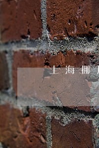 上海挪用资金律师电话