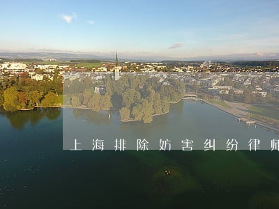 上海排除妨害纠纷律师网 上海排除妨害纠纷律师网