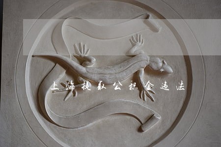 上海提取公积金违法 上海提取公积金违法