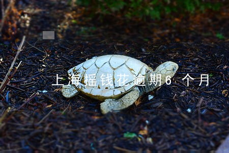 上海摇钱花逾期6个月 上海摇钱花逾期6个月