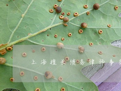 上海擅长债务律师事务所委托费用 上海擅长债务律师事务所委托费用