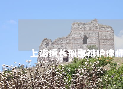 上海擅长刑事辩护律师哪家信誉好