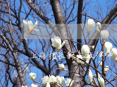 上海擅长新三板律师 上海擅长新三板律师