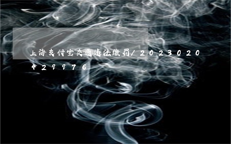 上海支付宝交通违法缴罚/2023020429976 上海支付宝交通违法缴罚/2023020429976