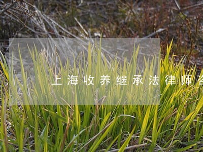 上海收养继承法律师咨询电话 上海收养继承法律师咨询电话