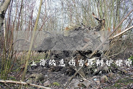 上海故意伤害罪辩护律师在线咨询 上海故意伤害罪辩护律师在线咨询
