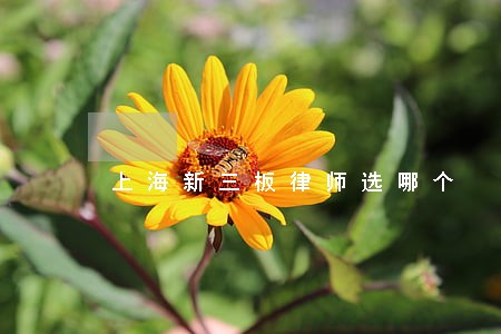 上海新三板律师选哪个