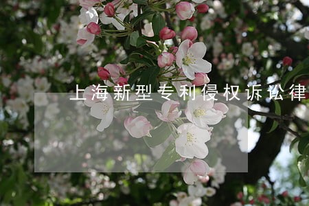 上海新型专利侵权诉讼律师代理