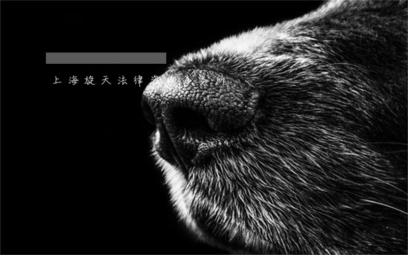上海旋天法律咨询事务所 上海旋天法律咨询事务所