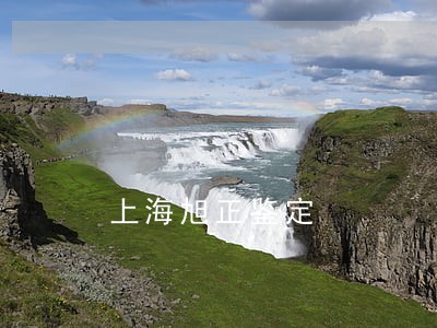 上海旭正鉴定 上海旭正鉴定