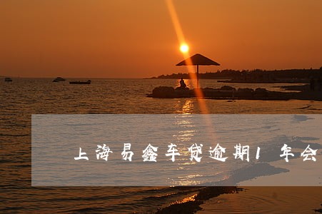 上海易鑫车贷逾期1年会怎么样 上海易鑫车贷逾期1年会怎么样