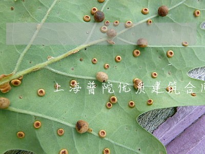 上海普陀优质建筑合同律师 上海普陀优质建筑合同律师