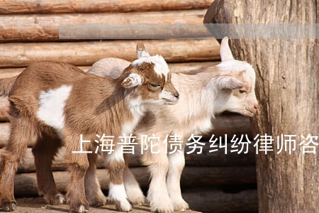 上海普陀债务纠纷律师咨询电话 上海普陀债务纠纷律师咨询电话