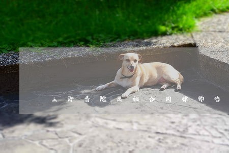 上海普陀出租合同律师咨询费用 上海普陀出租合同律师咨询费用