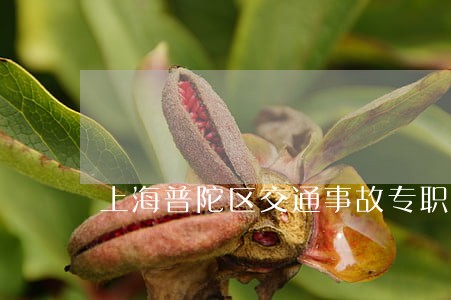 上海普陀区交通事故专职律师 上海普陀区交通事故专职律师