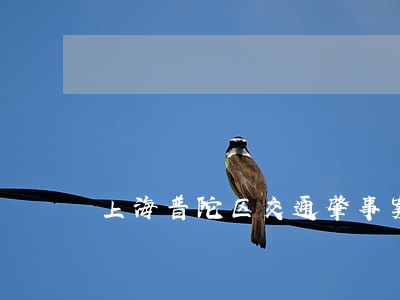 上海普陀区交通肇事案律师 上海普陀区交通肇事案律师
