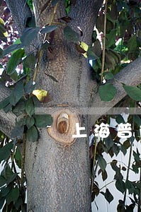 上海普陀区值班费纠纷律师价格 上海普陀区值班费纠纷律师价格