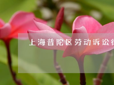 上海普陀区劳动诉讼律师多少钱 上海普陀区劳动诉讼律师多少钱