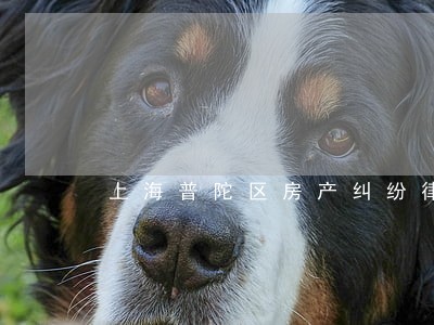 上海普陀区房产纠纷律师 上海普陀区房产纠纷律师