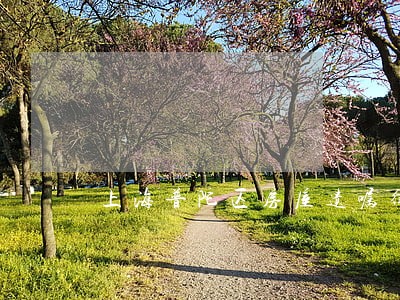 上海普陀区房屋遗嘱律师免费咨询 上海普陀区房屋遗嘱律师免费咨询