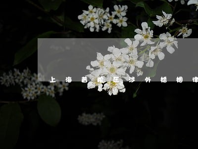 上海普陀区涉外婚姻律师哪里有 上海普陀区涉外婚姻律师哪里有