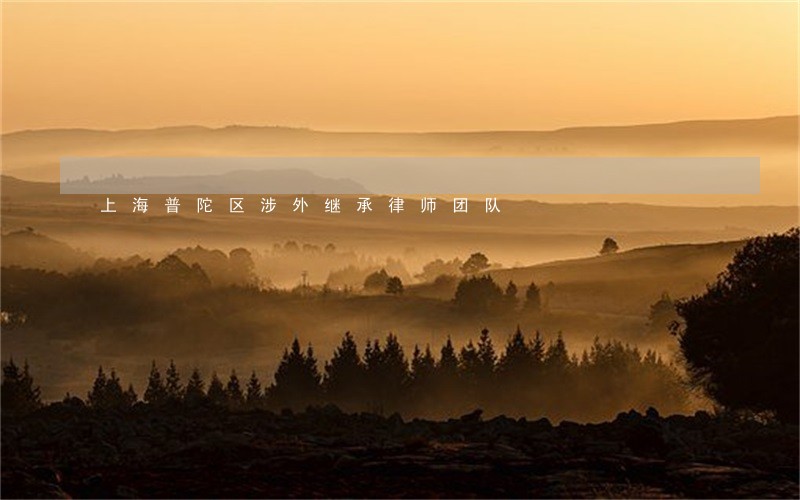 上海普陀区涉外继承律师团队 上海普陀区涉外继承律师团队
