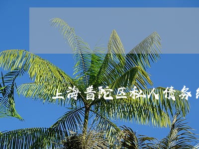 上海普陀区私人债务纠纷律师 上海普陀区私人债务纠纷律师