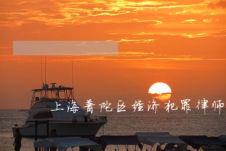 上海普陀区经济犯罪律师胜诉率高 上海普陀区经济犯罪律师胜诉率高