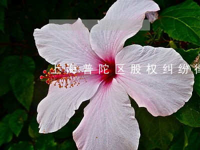 上海普陀区股权纠纷律师咨询热线 上海普陀区股权纠纷律师咨询热线