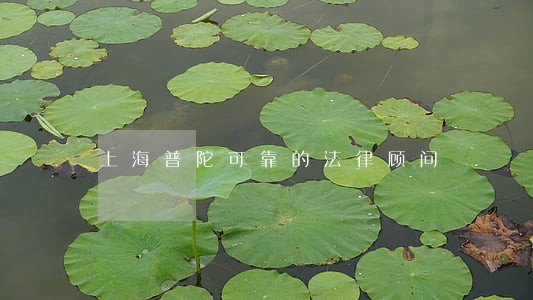 上海普陀可靠的法律顾问 上海普陀可靠的法律顾问