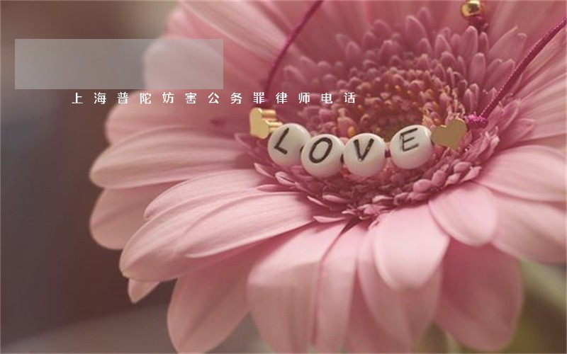 上海普陀妨害公务罪律师电话 上海普陀妨害公务罪律师电话