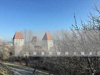 上海普陀律师大概多少钱
