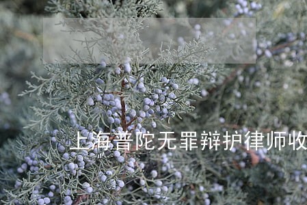 上海普陀无罪辩护律师收费标准 上海普陀无罪辩护律师收费标准