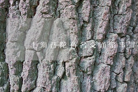 上海普陀有名交通肇事罪律师 上海普陀有名交通肇事罪律师