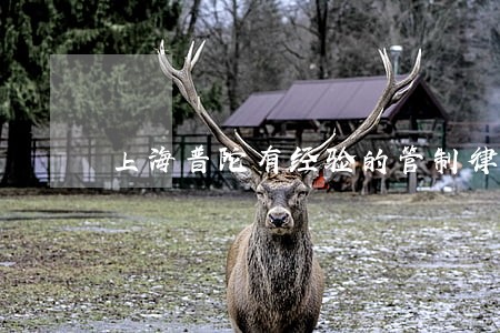 上海普陀有经验的管制律师 上海普陀有经验的管制律师