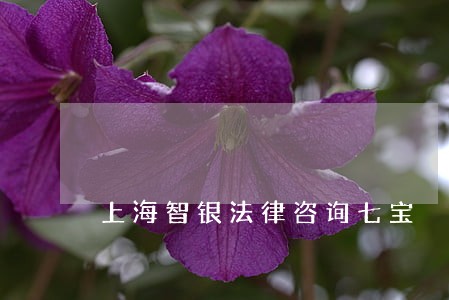 上海智银法律咨询七宝 上海智银法律咨询七宝