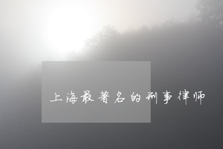 上海最著名的刑事律师