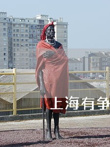 上海有争议房产遗产纠纷律师