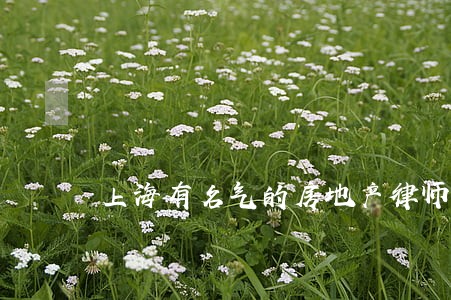 上海有名气的房地产律师 上海有名气的房地产律师