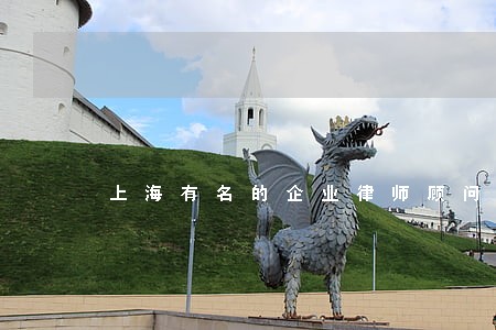 上海有名的企业律师顾问 上海有名的企业律师顾问